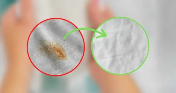 Sai o método que usam na roupa para tirar nódoas por 1€