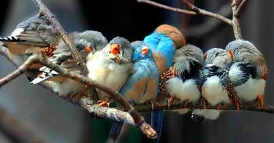 Se a vida te dá pessoas maravilhosas é porque você merece