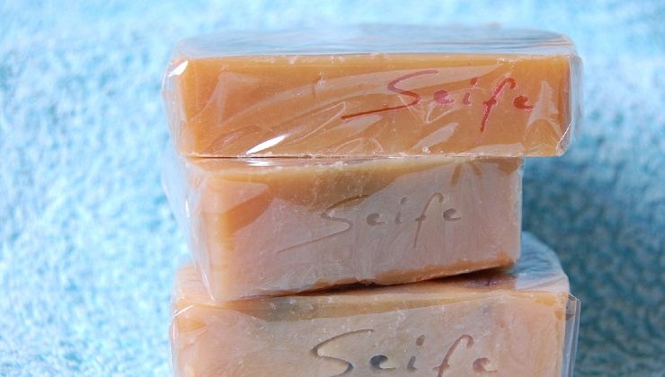 Melhor inseticida para pulgões