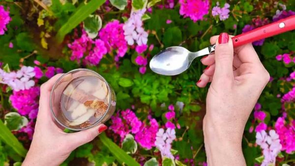 Se queres um jardim cheio de flores de dar inveja a todos tens de o fazer