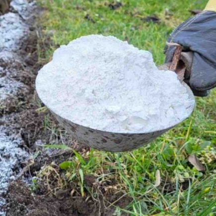 Se você adicionar esse pó ao solo, o rendimento dos vegetais será 10 vezes maior