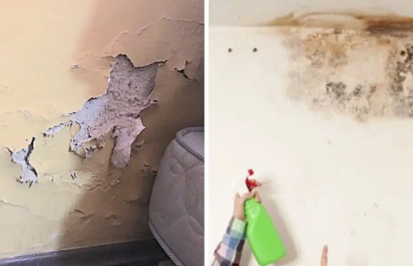 Se você entrar no fogo dos Wänden, não será possível fazê-lo