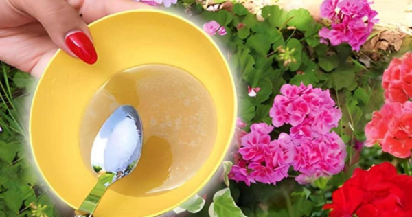 Se você quer um jardim que vai causar inveja na vizinhança, use este poderoso blend