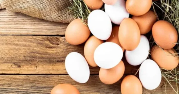 Se você tiver cascas de ovo, não jogue fora! é assim que eles são úteis para as plantas