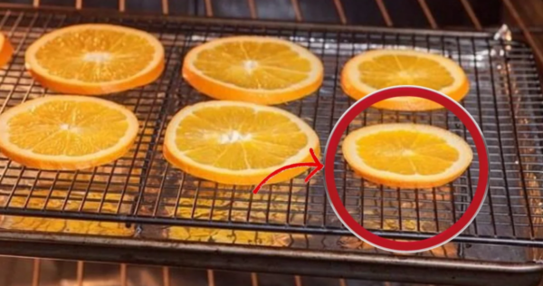 Secando laranjas: aqui explicamos como decorar e perfumar toda a sua casa!