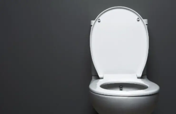 Sempre erramos em jogar essas coisas no vaso sanitário: de agora em diante, não faça isso de novo