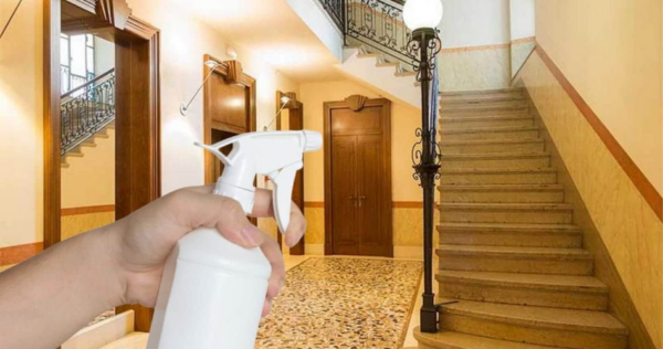 Spray mosquiteiro em condomínios, mas pode ser usado? Essa é a verdade