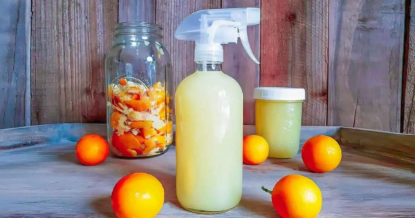 Sua casa terá um cheiro delicioso nesta temporada de festas – tudo que você precisa é de uma laranja