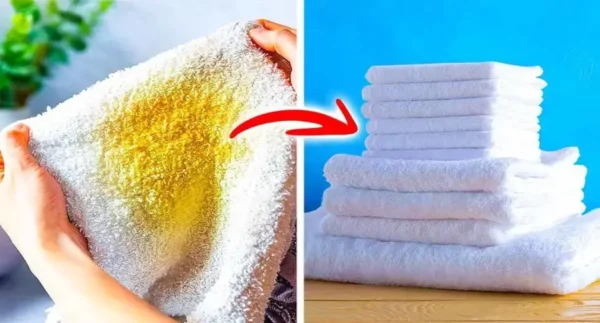 Toalhas velhas e amareladas? O truque para branqueá-los e deixá-los macios como novos