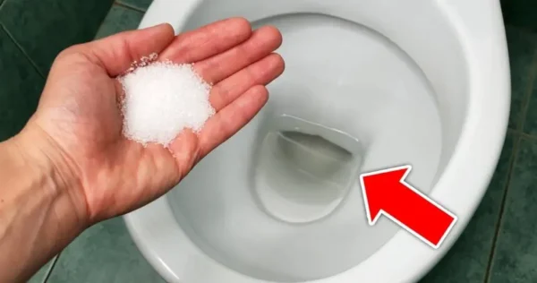 Todos os hóspedes vão querer saber o segredo: o banheiro ficará limpo e cheiroso