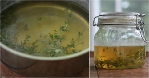 Tomilho e mel: um poderoso remédio para a saúde pulmonar e contra doenças respiratórias