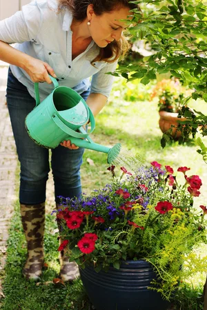 “Transforme seu espaço ao ar livre em um jardim exuberante: o guia definitivo para iniciantes em jardinagem.” »