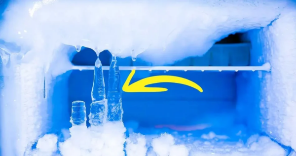 Truque do saquinho de chá para repelir pragas e manter os insetos longe de casa