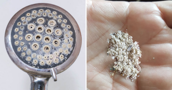 Truque fácil e barato para desentupir buracos de chuveiros