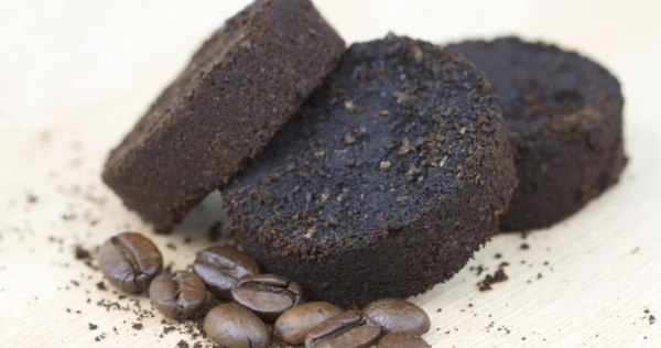 Um fertilizante natural e supereficaz sem nenhum custo? Perfeito com borra de café, use assim!