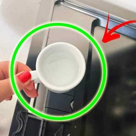 Uma única xícara deste remédio natural é suficiente para limpar e perfumar a máquina de lavar louça.