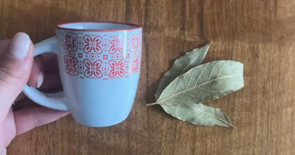 Uma xícara de café e duas folhas de louro, misture e você verá: valem seu peso em ouro em casa