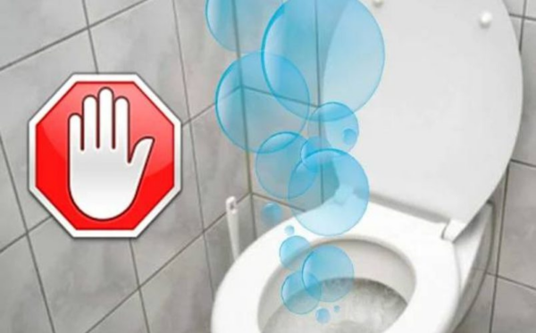 Veja como eliminar o mau odor do banheiro