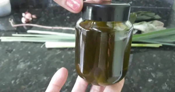 Veja como extrair óleo de qualquer planta que você tem em casa em apenas 5 minutos