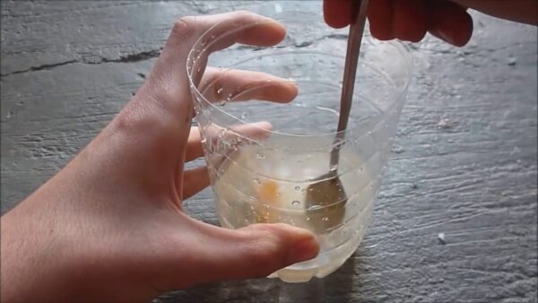 Veja como fazer uma armadilha para moscas e mosquitos em casa: leva apenas alguns minutos