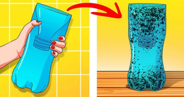 Veja como fazer uma armadilha para mosquitos que funciona perfeitamente