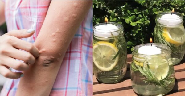 Velas com aroma cítrico: ideias DIY para decorar sua casa