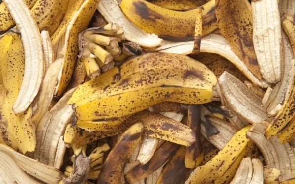 Você definitivamente tem fertilizantes naturais em casa e deixa suas plantas crescerem