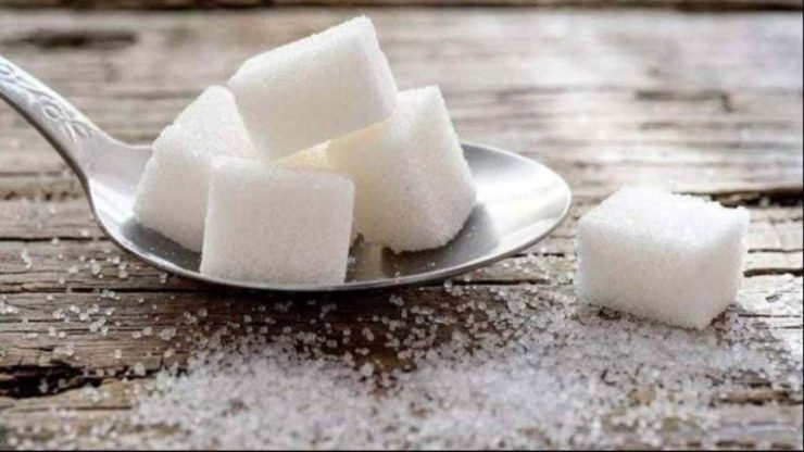 Diga adeus às formigas com açúcar