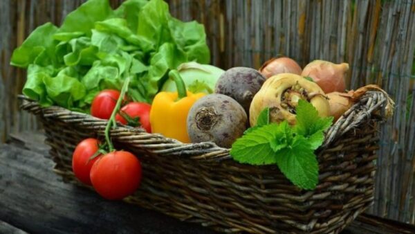 Você nunca vai acreditar quais são as 7 plantas que florescem quando você faz xixi nelas!