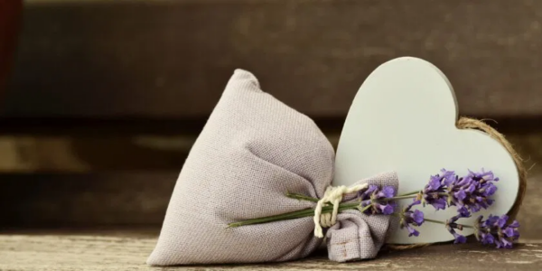 Você quer cultivar lavanda na varanda? Não tem problema, aqui estão os segredos dos melhores viveiristas revelados