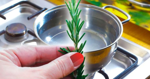 Vou explicar por que todo mundo cozinha alecrim: uma ideia brilhante