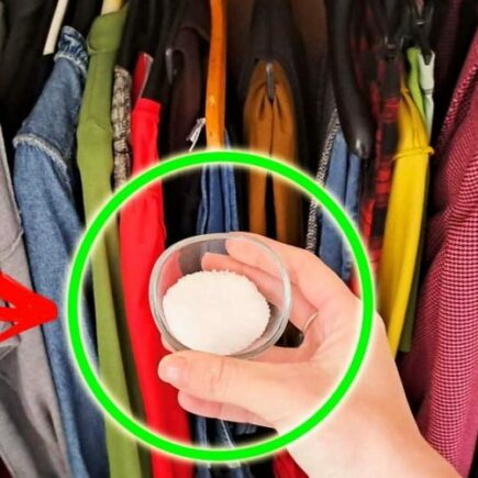 Wie sie den schimmelgeruch im schrank vermeiden und ihn immer parfumieren konnen