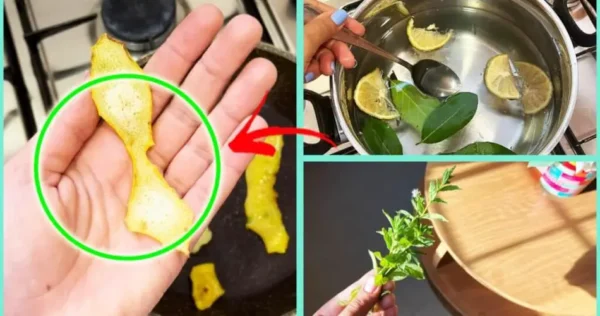 como deixar sua casa fresca mesmo em setembro com estes remédios naturais 4+1