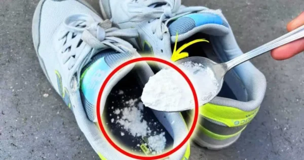 como perfumar sapatos fedorentos depois de um dia inteiro com remédios naturais