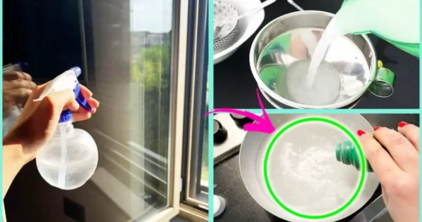 como ter vidros brilhantes e sem riscos com pó de talco