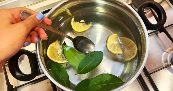 depois das férias aqui estão chás de ervas naturais para purificar e desinchar