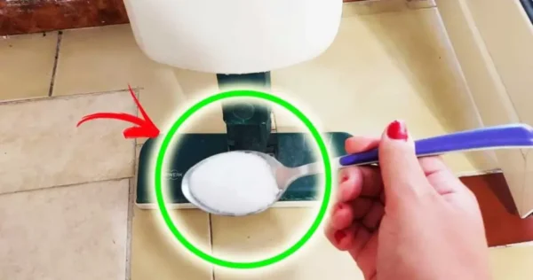 nem todo mundo sabe mas é preciso colocar uma colher desses ingredientes no aspirador para perfumar a casa