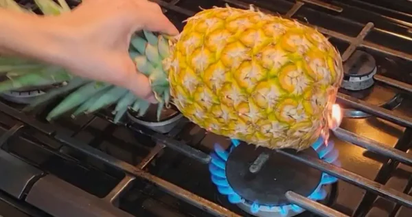 É por isso que todo mundo coloca 1 abacaxi no fogão – incrível