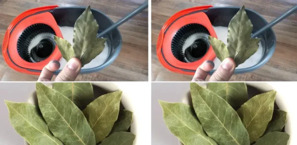 É por isso que você precisa adicionar uma folha de louro ao balde do esfregão