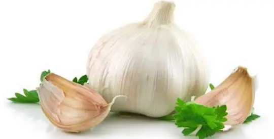 É por isso que você precisa comer alho cru todas as manhãs com o estômago vazio.