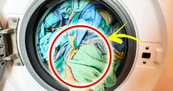 por que a roupa suja cheira a toalha molhada? nem todo mundo sabe a solução