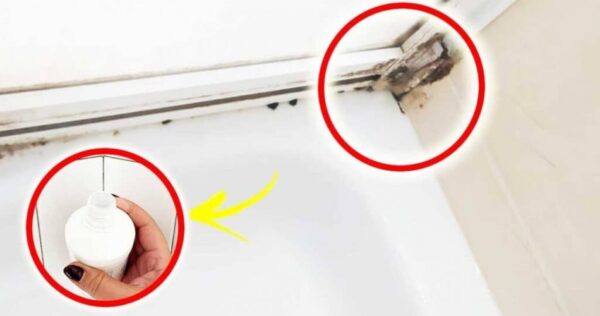 retire o molde de silicone do chuveiro sem alvejante mas com este remédio natural