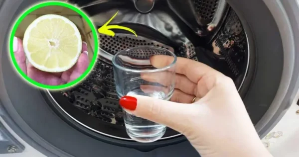 use limão na máquina de lavar para tê-lo sempre fresco e perfumado