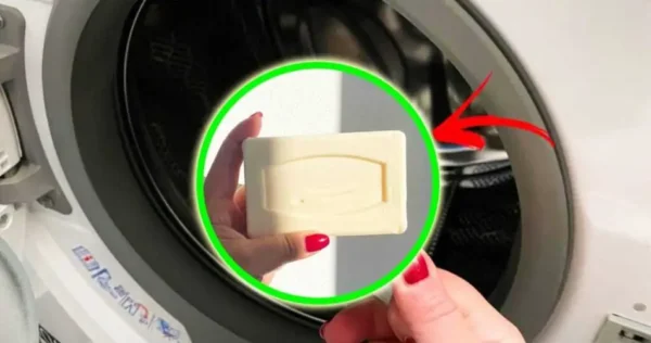 você tem que usar sabonete de Marselha na máquina de lavar todos os dias e eu vou explicar o porquê