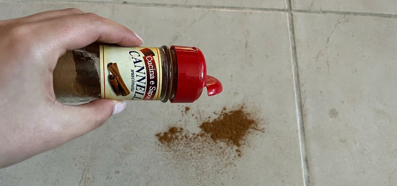 1 Prise Zimt auf den Boden werfen, der Trick, der seit Jahrzehnten funktioniert