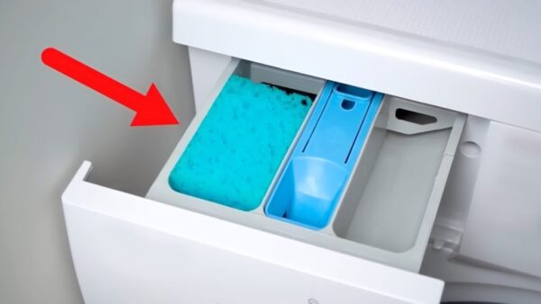 1 Schwamm in die Waschmaschinenwanne geben: Das passiert mit der Wäsche