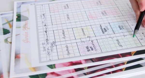 10 Dinge, die Sie im Januar in Ihrem Gemüsegarten tun können