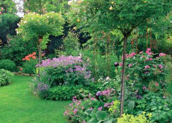 10 Profi-Tipps für einen gelungenen Garten