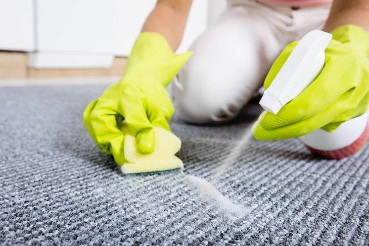 Einen Teppich reinigen