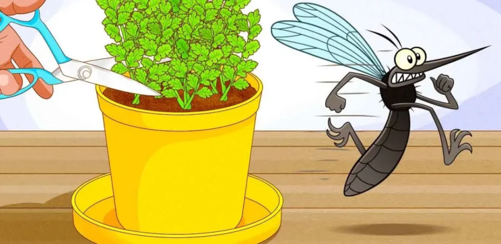 3 Abwehrpflanzen zum Wachsen im Frühling